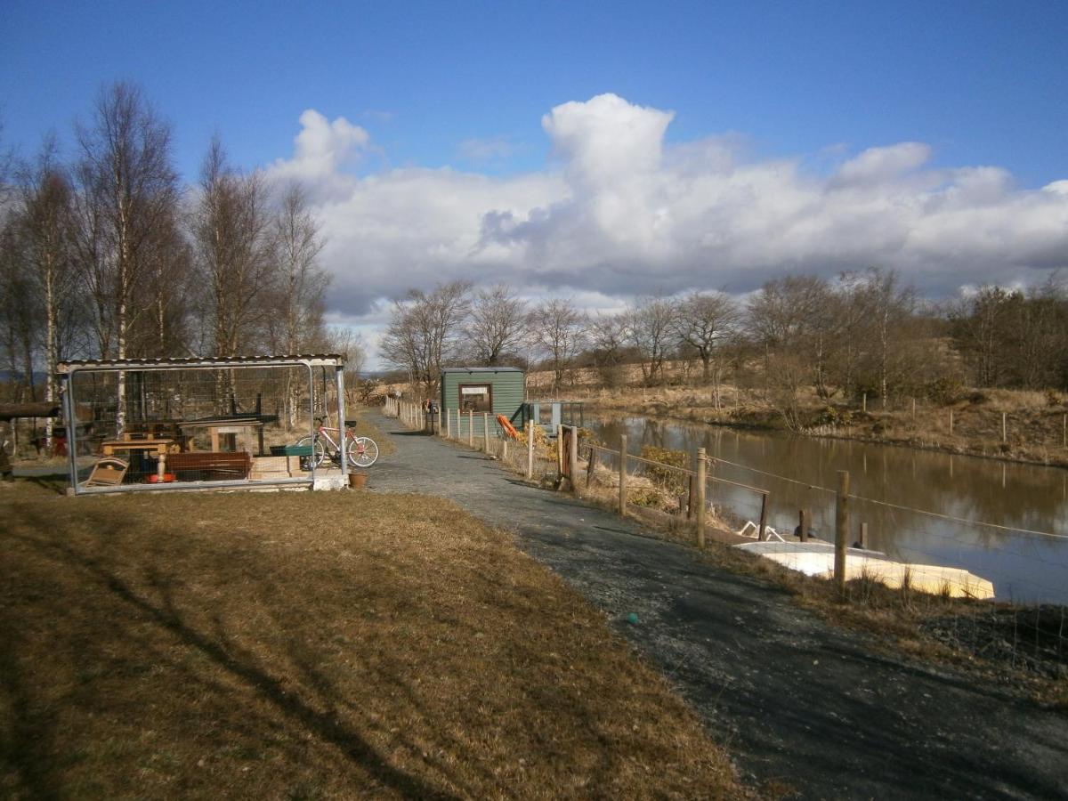 Fairview Bed And Breakfast Airdrie Zewnętrze zdjęcie